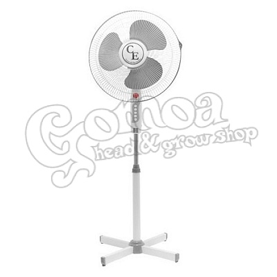 Cornwall standing fan 2